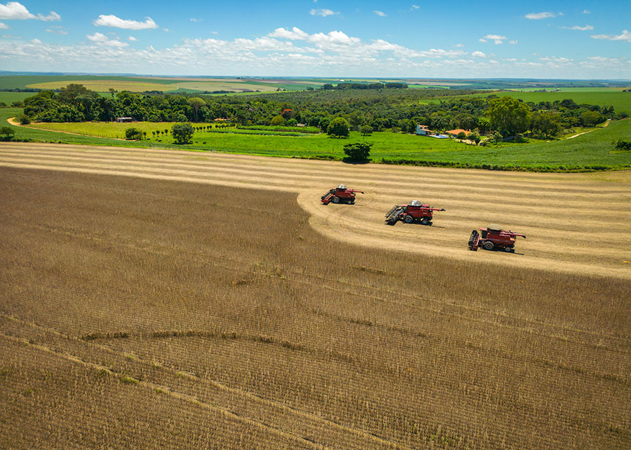 Emissões de carbono na agricultura brasileira são estimadas em 11,54 dólares por tonelada